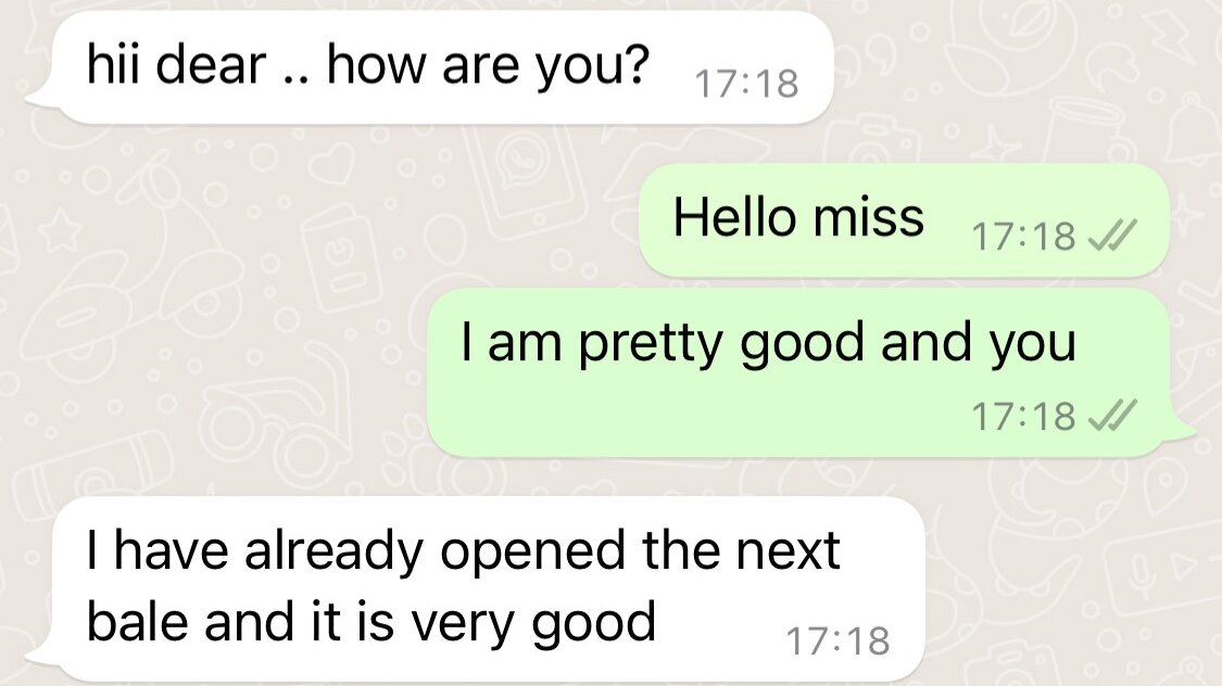 Indonesia buyer WhatsApp message on used clothing bales — King AAA wholesale feedback